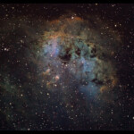 APOD 2009 January 17 IC 410 And NGC 1893