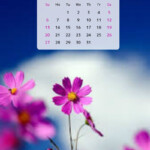 January 2019 Pink Flower Calendar Flower Printable Flower Calendar 