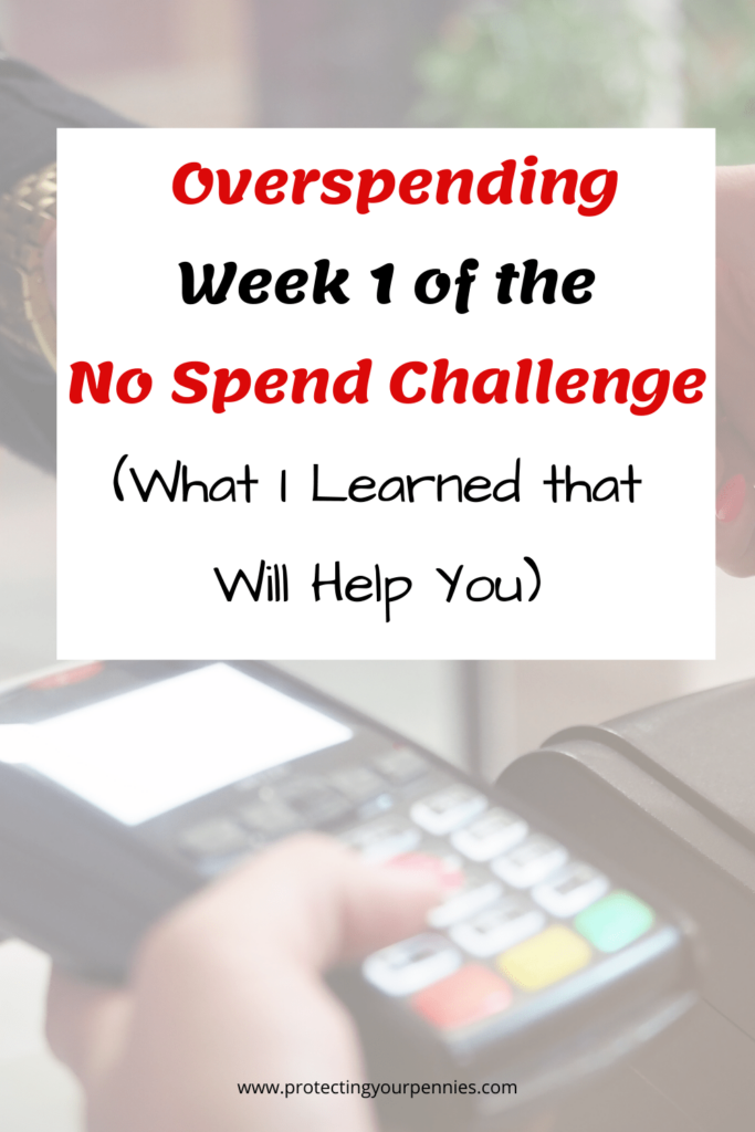 No Spend January 1 Week Review No Spend Challenge Work From Home 