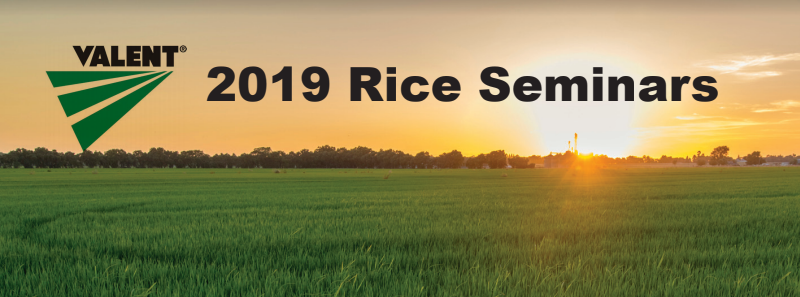 Thiobencarb Stewardship Meetings Set For Early March California Rice News